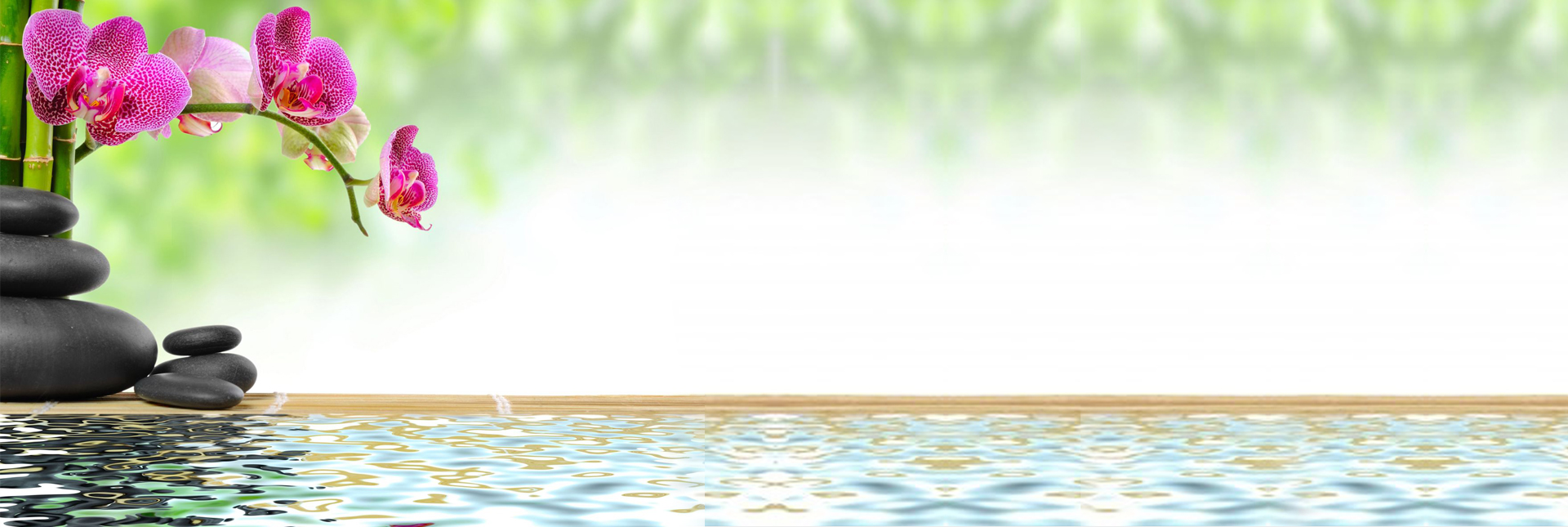 Dr. Robi Burns, Md